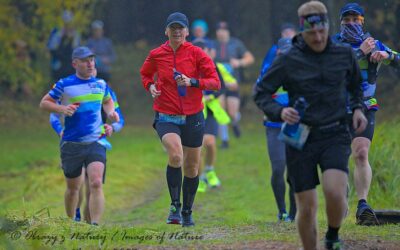 Samsung Forest Run Challenge 2025